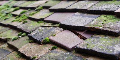 Twynllanan roof repair costs
